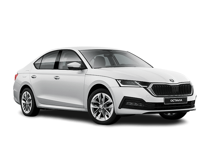 Купить Skoda Octavia в Краснодаре - Белый / Pure White